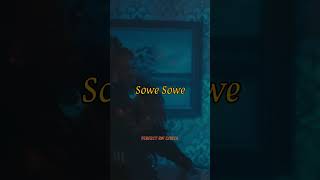 Bruce Melodie  SOWE Official Music short Video Lyrics [upl. by Ordnael676]