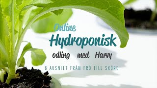 Onlinekurs i hydroponisk odling  Grohuset [upl. by Hoyt]