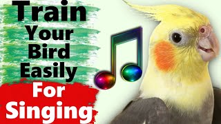 Cockatiel Singing and Whistle Training Songs [upl. by Gnemgnok]