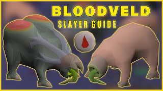 Mutated Bloodveld Melee Slayer Guide OSRS [upl. by Ardena]