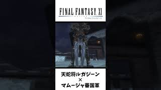 ビシージがかっこいい ゲーム実況 ff11 ファイナルファンタジー11 [upl. by Niak910]