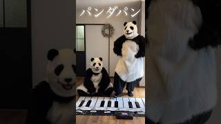 せっかくグルメの曲弾いてみた🎵日村さん好きなんだよねぇ🐼🐼✨せっかくグルメ 演奏してみた zipadeedoodah [upl. by Lacefield]