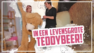 In een LEVENSGROTE TEDDYBEER [upl. by Asenaj]