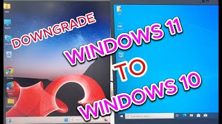 How to Downgrade Windows 11 to Windows 10 Tutorial [upl. by Voccola]