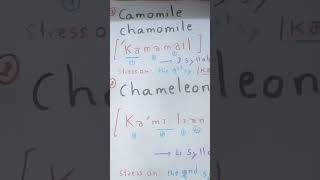 How to pronounce chamomile and chameleon [upl. by Anisirhc]