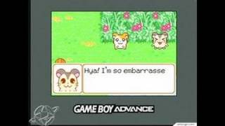 Hamtaro HamHam Heartbreak Game Boy Gameplay [upl. by Buyer]