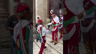 🤩 Así se coloca un nuevo palo de los Voladores de Papantla en Cuetzalan Puebla 🇲🇽 🎥IG omargonval [upl. by Ahasuerus]