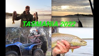 Tasmanian Harvest  Sea Trout Deer Western lakes and Good times [upl. by Rossie]