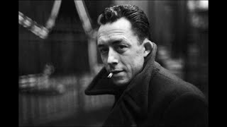 The Analysis of The Stranger by Albert Camus [upl. by Bray]