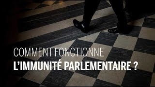 Comment fonctionne limmunité parlementaire [upl. by Ahens]