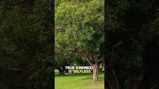 Kindness Without Expectations shorts trending fyp foryou viralvidros motivation ytshorts diy [upl. by Armillda]