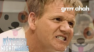 grrr so angy ahah grrrr 🐶  Kitchen Nightmares  Gordon Ramsay [upl. by Blisse]