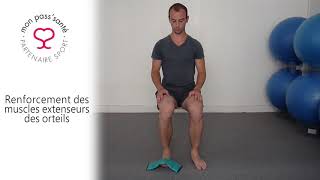 MP2SA  R16  Renforcement des muscles extenseurs des orteils [upl. by Stesha17]