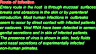 PCR Test for detection and treatment of Ebola Virus Genekam [upl. by Asirral292]