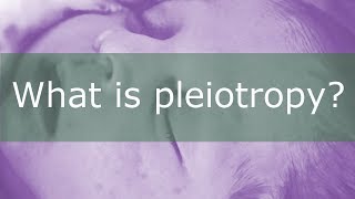 What is Pleiotropy [upl. by Chi469]