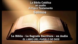 Antiguo Testamento Salmos 1 al 34 La Biblia Católica en audio [upl. by Durrej459]