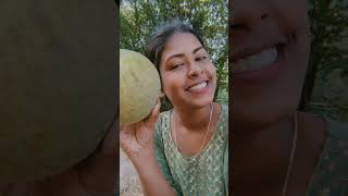 Batabi lebu makha khelam onk din por😋🫠 subscribe like vlog newyoutuber youtuberchannel [upl. by Ecidna]