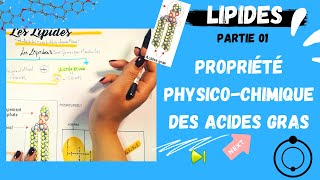 📣2 Les Lipides Partie 01  Propriété PhysicoChimique Des Acides Gras اقوى شرح لللبيدات😍 [upl. by Rieth]