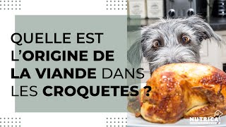 Doù vient la viandes dans les croquettes pour chien [upl. by Hillman650]