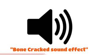 Bone Cracked Sound Effect  Royalty Free  No Copyright Sound Effect [upl. by Cortie78]