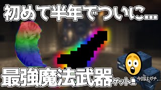 【Hypixel SkyBlock】始めて6カ月で最強武器18 [upl. by Aicemed]