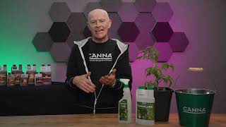 CANNA Masterclass – How to spray plants [upl. by Lorrin217]