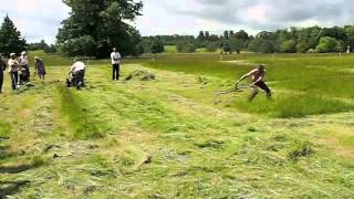 BCS mower vs scythe 2012 [upl. by Trina]