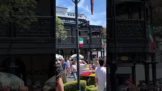 Vibes  Norton Street Festa 2024 Leichhardt Sydney Australia [upl. by Huttan199]