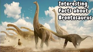 Interesting Facts about Brontosaurus [upl. by Lefton326]