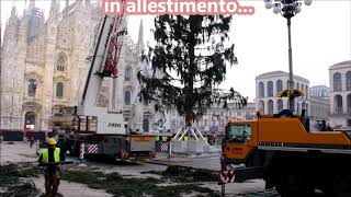 Albero di Natale 2017 in allestimento piazza Duomo Milano [upl. by Hynda142]