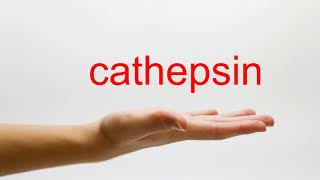 How to Pronounce cathepsin  American English [upl. by Marten162]