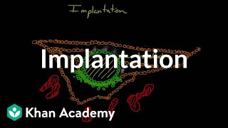 Implantation  Behavior  MCAT  Khan Academy [upl. by Filomena951]