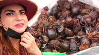 CHAPULINES y HORMIGAS para COMER en el Tianguis de Tlacolula OAXACA  ALMA Coronel [upl. by Eilla679]