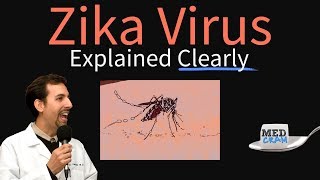 Zika Virus Explained Clearly by MedCramcom [upl. by Jessy309]