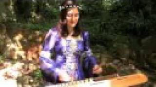 quotMagicquot medieval hammered dulcimer music by dizzi [upl. by Salvay425]