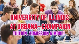 Should You School University of Illinois at Urbana–Champaign [upl. by Anatollo]