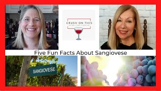 Five Fun Facts About Sangiovese [upl. by Arnaud]