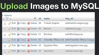 How to Insert Images to MySQL and Display Them Using PHP [upl. by Aredna]