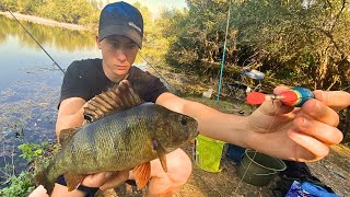 Pecanje štuke bandara i basa na žive kedere Jezero puno ribe [upl. by Virgil]