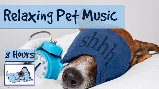 8 HOURS OF RELAX MY DOG MUSIC Longest Video Yet Relaxing Pet Music Soundsweep 🐶 RMD03 [upl. by Annyahs145]