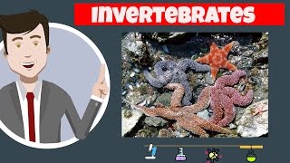 Invertebrates Facts and Characteristics [upl. by Lahsram]