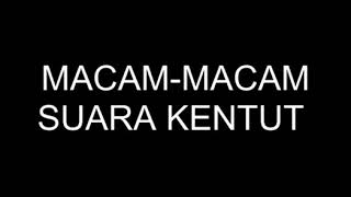 pasti ngakak macammacam suara kentut [upl. by Rad]