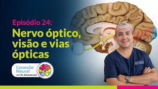 Nervo Óptico Visão e Vias Ópticas  EP 24 [upl. by Dorcea]