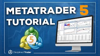 Complete MetaTrader 5 Tutorial For Beginners  2024 Edition [upl. by Ruder864]