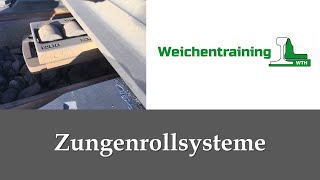 Was sind Zungenrollsysteme und welche gibt es [upl. by Kipp338]