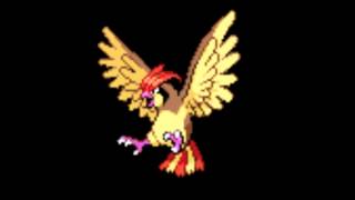 Pokemon Cries  017 Pidgeotto [upl. by Nairehs]