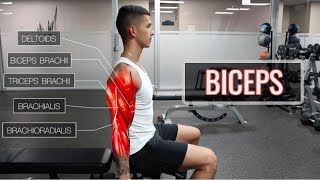 The Best ScienceBased Bicep Workout  ARMS Part 12 [upl. by Hyacinthe]