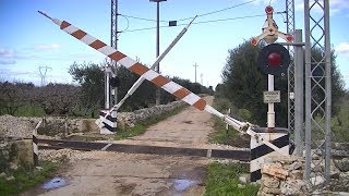 Spoorwegovergang Turi I  Railroad crossing  Passaggio a livello [upl. by Flodnar508]