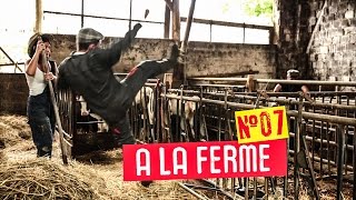 07 A LA FERME  Steve Maire dans tous ses états  Alsace20  Nolimitsfr [upl. by Ecnatsnok]