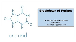 Purine Catabolism  Uric Acid Synthesis  Biochemistry  Molecular Biology  NEET PG [upl. by Eyeleen]